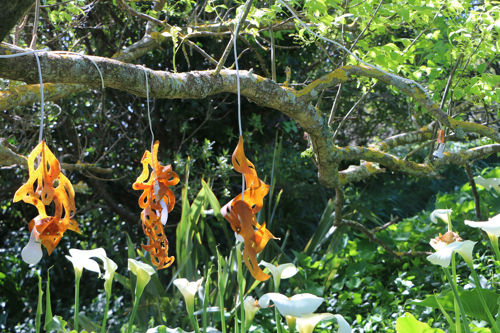 Karlena  Dunn (Biomaterialgirl)