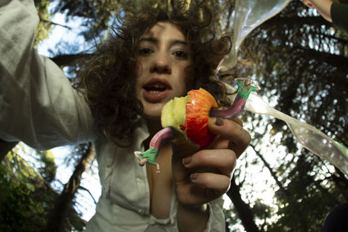 Genevieve Van Staden (Diplopoda)